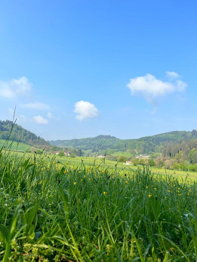 Black Forest Apartments Gengenbach Dış mekan fotoğraf